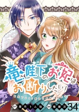 竜陛下のお妃はお断りしたい！ 【連載版】３４ パッケージ画像