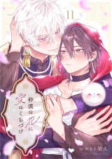 砂漠の花に愛のくちづけ　act.11 パッケージ画像