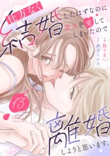 仕方なく結婚したはずなのに貴方を愛してしまったので離婚しようと思います。１３ パッケージ画像