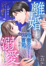 離婚したはずなのに、冷徹エリート御曹司に容赦なく溺愛されています２３ パッケージ画像
