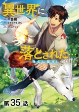 【単話版】異世界に落とされた…浄化は基本！@COMIC 第35話 パッケージ画像