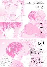 ここのみに降る パッケージ画像