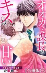 オオカミ課長のキスは甘い～冷徹上司の裏の顔～【合冊版】3 パッケージ画像