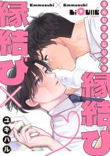 縁結び×縁結び パッケージ画像