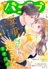 バニラブvol.80 パッケージ画像