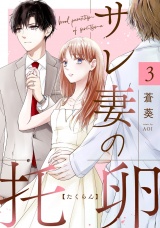 サレ妻の托卵　３ パッケージ画像