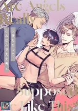 天使たちって、こんなんで大丈夫？【全年齢版】(2) パッケージ画像