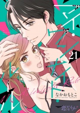 マイ・ワンナイト・ルール 21 パッケージ画像