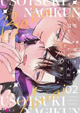 嘘つきナギくんはバカ甘い 2 パッケージ画像