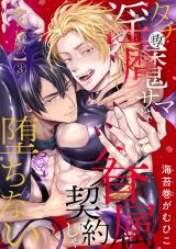タチ専淫魔サマは眷属契約じゃ堕ちない【R18版】3 パッケージ画像