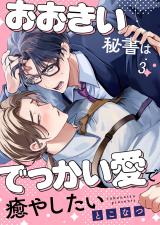 おおきい秘書はでっかい愛で癒やしたい3 パッケージ画像