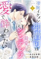 凄腕イケメン御曹司は最愛シンデレラをとめどない愛で酔わせたい【電子単行本版】２ パッケージ画像