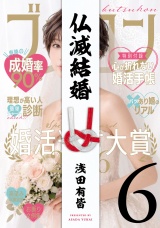 仏滅結婚 6（ヒーローズコミックス） パッケージ画像