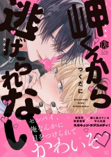 岬くんから逃げられない【電子限定漫画付き】 パッケージ画像
