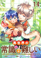 異世界の常識は難しい〜希少で最弱な人族に転生したけど物理以外で最強になりそうです〜 【連載版】１４ パッケージ画像