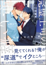 完璧上司の悪い癖 【電子限定かきおろし漫画4P付】 パッケージ画像