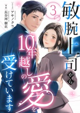 敏腕上司から10年越しの愛を受けています 3 パッケージ画像