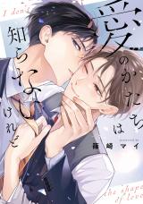 愛のかたちは知らないけれど【電子限定描き下ろし付き】 パッケージ画像