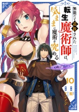 無能だと追放された転生魔術師は、気ままに魔術を究める１０ パッケージ画像