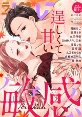 ラブパルフェ（LoveParfait） VOL.101-2 パッケージ画像表