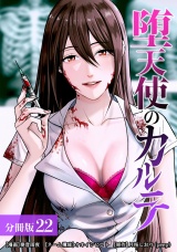 【分冊版】堕天使のカルテ 22巻 パッケージ画像