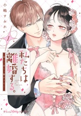 【単行本版】私たちは離婚する。深く、甘く、繋がって…　1【電子限定おまけ漫画付き】 パッケージ画像