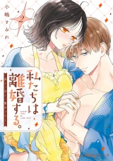 【単行本版】私たちは離婚する。深く、甘く、繋がって…　2【電子限定おまけ漫画付き】 パッケージ画像