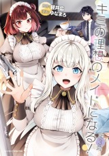 キミの理想のメイドになる！ 第3幕【単話版】 パッケージ画像