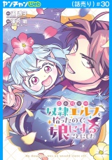 売れ残りの奴隷エルフを拾ったので、娘にすることにした(話売り)　#30 パッケージ画像