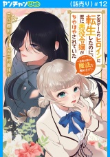 乙女ゲームのヒロインに転生したのに、既に悪役令嬢がちやほやされていた〜恋愛は諦めて魔法を極めます！〜(話売り)　#12 パッケージ画像