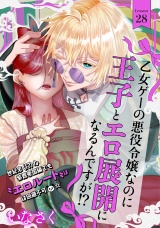 乙女ゲーの悪役令嬢なのに王子とエロ展開になるんですが!?(28) パッケージ画像