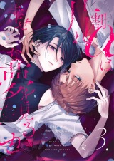 【分冊版】片割れαは幸せな夢を見るか 3. パッケージ画像