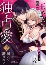 孤高の王子は没落メイドを独占愛で掴んで離さない パッケージ画像
