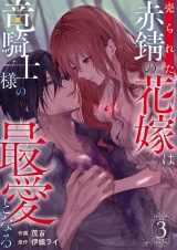売られた赤錆の花嫁は竜騎士様の最愛となる【電子単行本版／特典おまけ付き】３ パッケージ画像