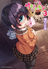 サキュバスじゃないモン！ 第3巻 パッケージ画像