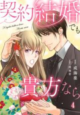 契約結婚でも貴方なら4 パッケージ画像