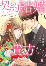 契約結婚でも貴方なら6 パッケージ画像