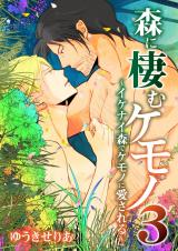 森に棲むケモノ３～イケナイ森でケモノに愛される～ パッケージ画像