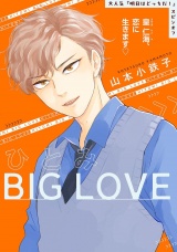 ひとみBIG LOVE ３ パッケージ画像