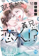 部長から義兄、そして恋人!?【単行本版】6 パッケージ画像