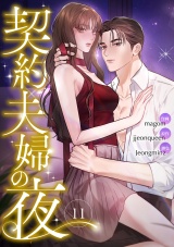 契約夫婦の夜１１ パッケージ画像表