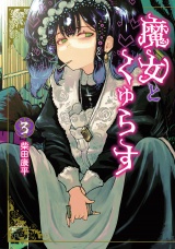 魔女とくゅらす 3（ヒーローズコミックス　わいるど） パッケージ画像表