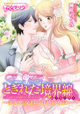 とぎれた境界線~実兄と交わる背徳の夜に…~(1) パッケージ画像表