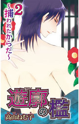 遊廓の檻 ～捕われたからだ～2 パッケージ画像