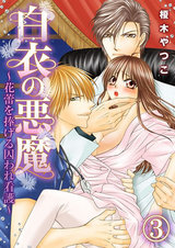 白衣の悪魔~花蕾を捧げる囚われ看護~(3) パッケージ画像表