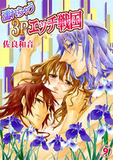 濡れちゃう3Pエッチ戦国9 パッケージ画像表