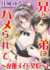 兄と弟にハメられて～夜伽メイド契約～ パッケージ画像