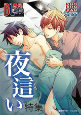 BL恋愛専科 VOL.29 夜這い特集 パッケージ画像表