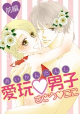 愛玩男子 前編 パッケージ画像表