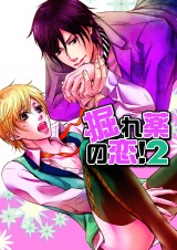 掘れ薬の恋!2 パッケージ画像表